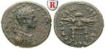 64991 Commodus, Bronze