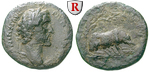 66531 Antoninus Pius, As