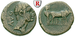 66577 Augustus, Bronze