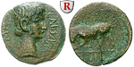66675 Augustus, Quadrans
