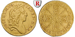 88491 William III., Half-Guinea