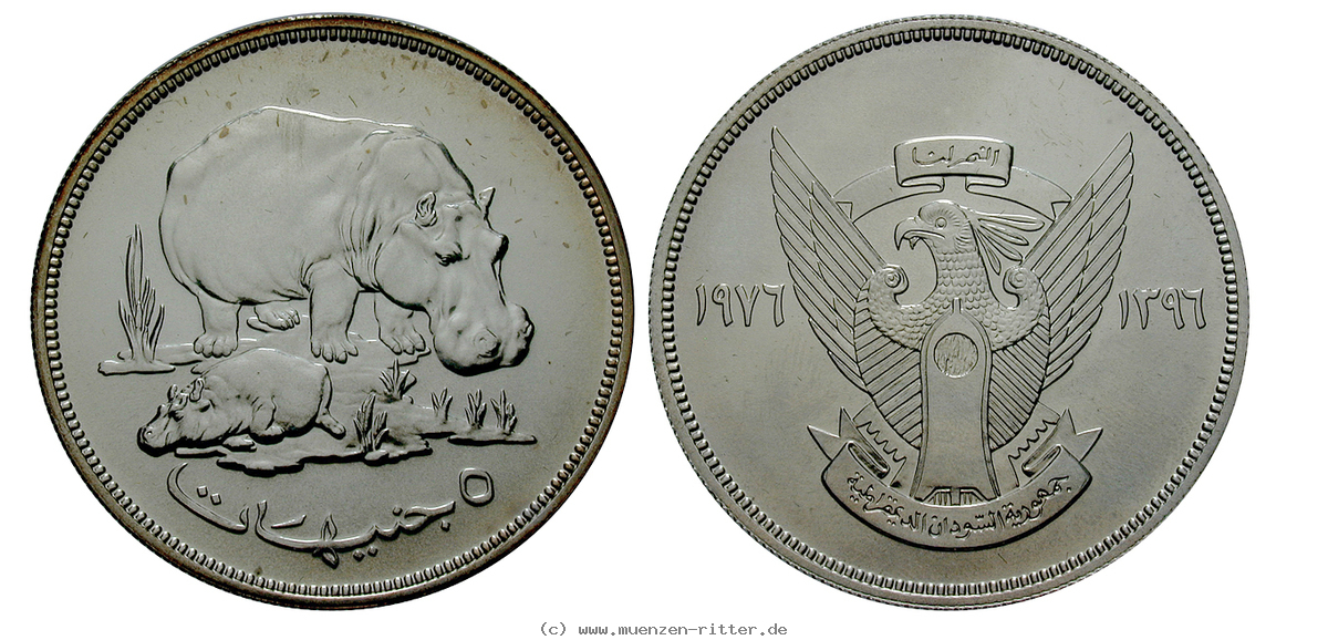 sudan-republik-5-pounds/ag17728.jpg