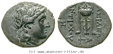 syrien-antiochos-ii-bronze/13696.jpg