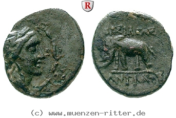 syrien-antiochos-iii-bronze/101455.jpg