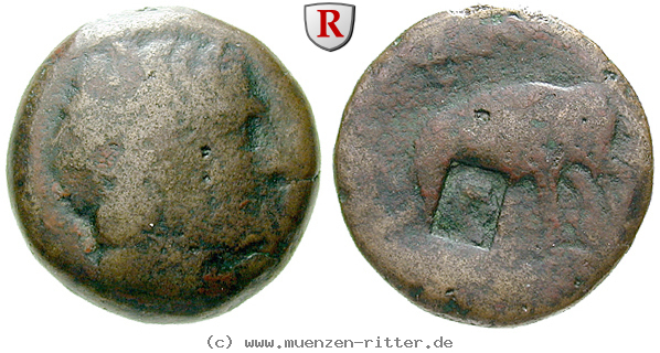 syrien-antiochos-iii-bronze/86843.jpg