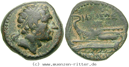 syrien-antiochos-iii-bronze/egri6618.jpg