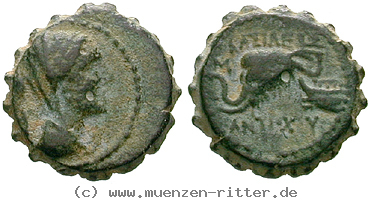 syrien-antiochos-iv-bronze-serratus/egri7458.jpg