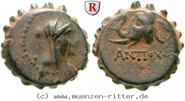 syrien-antiochos-iv-bronze-serratus/egri8041.jpg