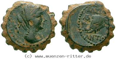 syrien-antiochos-iv-bronze-serratus/egri9460.jpg