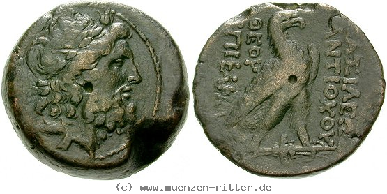 Klicken Sie auf das Bild um es auf Ihrem Rechner zu speichern syrien-antiochos-iv-bronze/egri9197.jpg