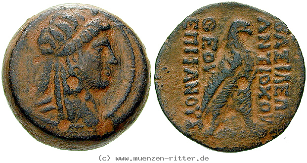 syrien-antiochos-iv-bronze/egri9198.jpg
