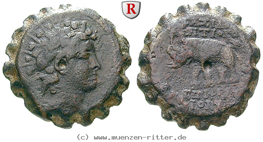 syrien-antiochos-vi-bronze-serratus/86835.jpg