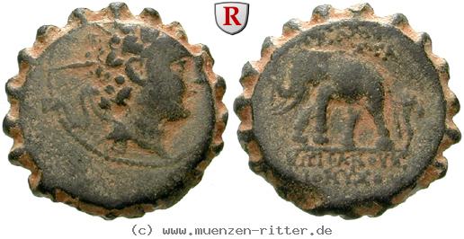 Klicken Sie auf das Bild um es auf Ihrem Rechner zu speichern syrien-antiochos-vi-bronze-serratus/egri8162.jpg