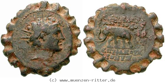 Klicken Sie auf das Bild um es auf Ihrem Rechner zu speichern syrien-antiochos-vi-bronze-serratus/egri8163.jpg