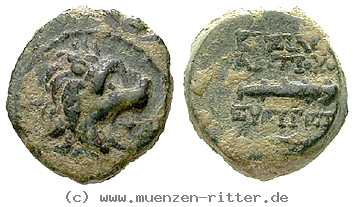 Klicken Sie auf das Bild um es auf Ihrem Rechner zu speichern syrien-antiochos-vii-bronze/24678.jpg