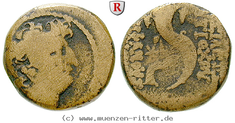 syrien-antiochos-viii-bronze/66432.jpg