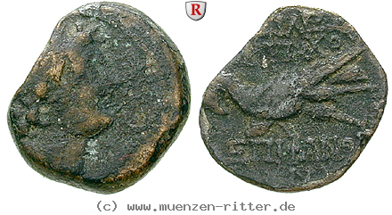 syrien-antiochos-viii-bronze/66434.jpg