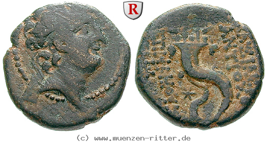 syrien-antiochos-xi-bronze/66450.jpg