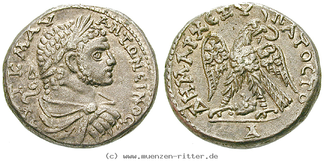 syrien-caracalla-tetradrachme/44051.jpg