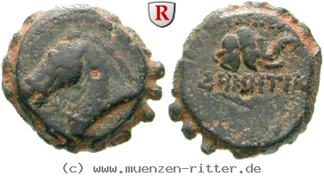 syrien-demetrios-i-bronze/egri7647.jpg