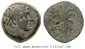 syrien-demetrios-ii--1-regierung-bronze/24776.jpg