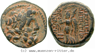 syrien-demetrios-ii--2-regierung-bronze/egri7675.jpg