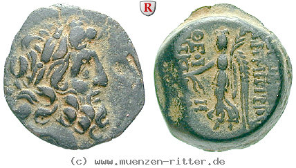 syrien-demetrios-ii--2-regierung-bronze/egri7701.jpg