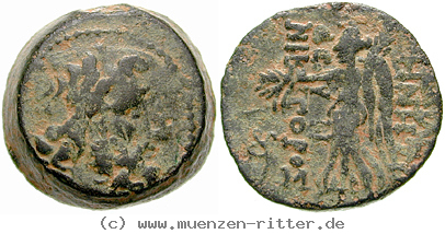 syrien-demetrios-ii--2-regierung-bronze/egri8056.jpg