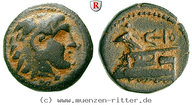 syrien-seleukos-i-bronze/37895.jpg