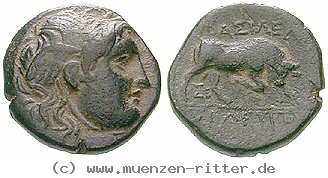 syrien-seleukos-i-bronze/egri10732.jpg