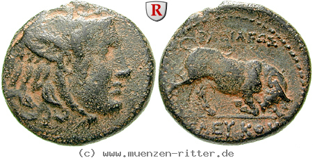 syrien-seleukos-i-bronze/egri7620.jpg