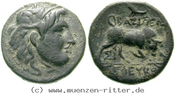 syrien-seleukos-i-bronze/egri7621.jpg