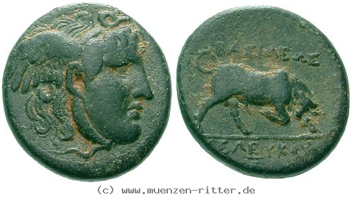 syrien-seleukos-i-tetrachalkon/egri9459.jpg