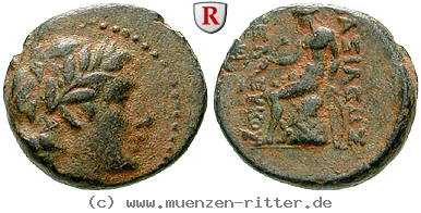 syrien-seleukos-iii-bronze/egri7722.jpg
