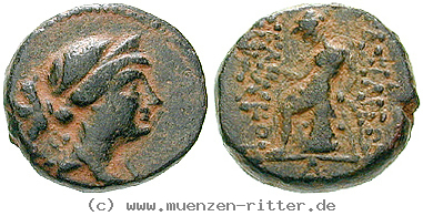 syrien-seleukos-iii-bronze/egri8047.jpg