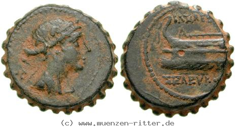 Klicken Sie auf das Bild um es auf Ihrem Rechner zu speichern syrien-seleukos-iv-bronze/egri8052.jpg