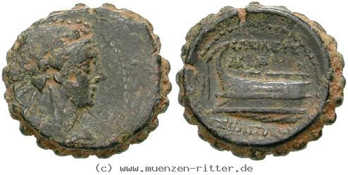 syrien-seleukos-iv-bronze/egri8157.jpg