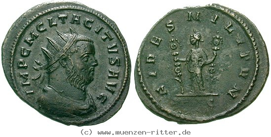 tacitus-antoninian/erom4432.jpg