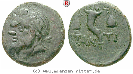 taurische-chersones-bronze/56100.jpg
