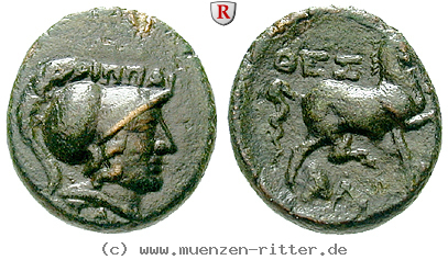 Klicken Sie auf das Bild um es auf Ihrem Rechner zu speichern thessalien-bronze/90298.jpg