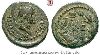 titus-quadrans/50081.jpg