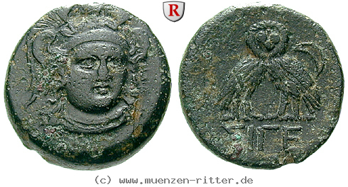 Klicken Sie auf das Bild um es auf Ihrem Rechner zu speichern troas-bronze/61256.jpg