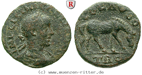 Klicken Sie auf das Bild um es auf Ihrem Rechner zu speichern troas-gallienus-bronze/61235.jpg