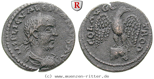 Klicken Sie auf das Bild um es auf Ihrem Rechner zu speichern troas-valerianus-i-bronze/14347.jpg