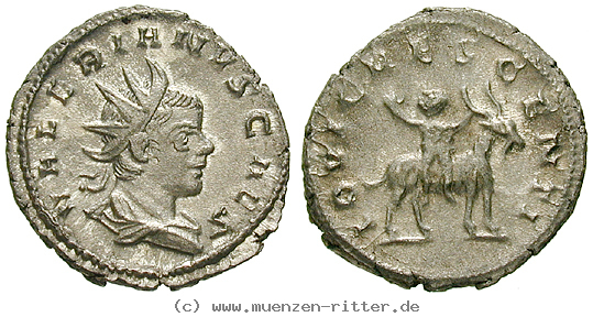 valerianus-ii--caesar-antoninian/50283.jpg