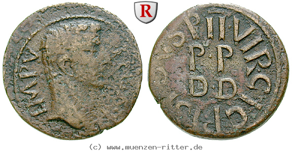 zeugitana-augustus-as/56054.jpg