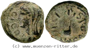 Klicken Sie auf das Bild um es auf Ihrem Rechner zu speichern zeugitana-augustus-quadrans/erom5691.jpg