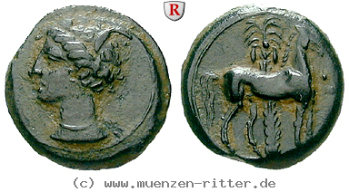 zeugitana-bronze/100116.jpg