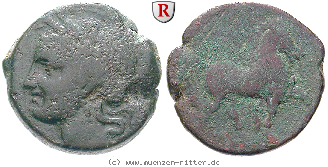 zeugitana-bronze/101641.jpg