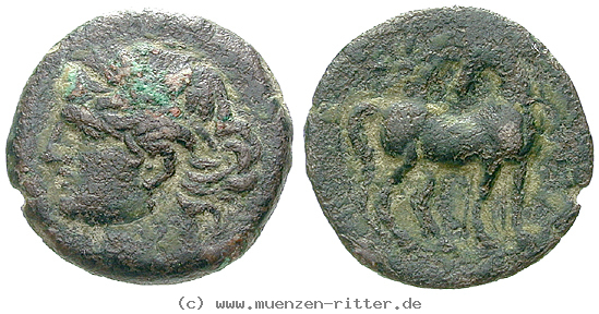 Klicken Sie auf das Bild um es auf Ihrem Rechner zu speichern zeugitana-bronze/22741.jpg